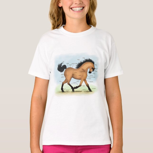 T-shirt Cheval Buckskin Education Equine Anatomie (Devant)