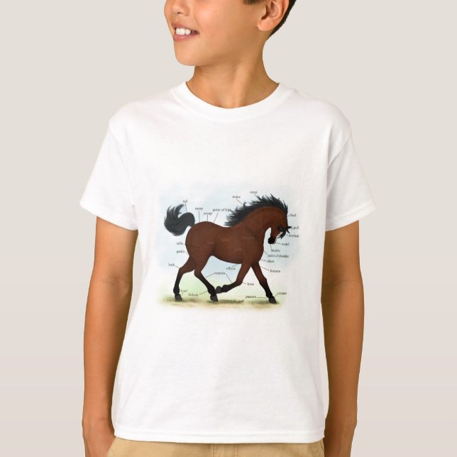 T-shirt Cheval De Baie Avec Lame Éducative Anatomique (Devant)