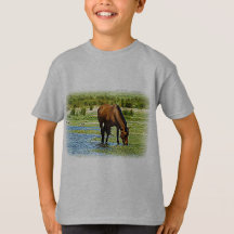Cheval de la baie