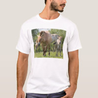 Cheval de Przewalski et poulain en marche