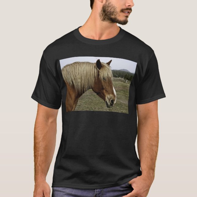T-shirt Cheval d'or (Devant)