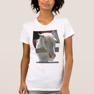 T-shirt Cheval du zoo blanc