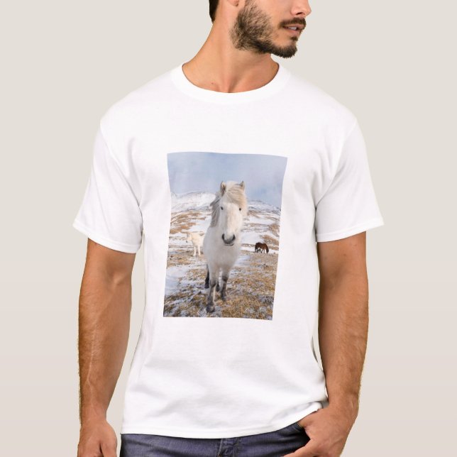 T-shirt Cheval islandais blanc, Islande (Devant)
