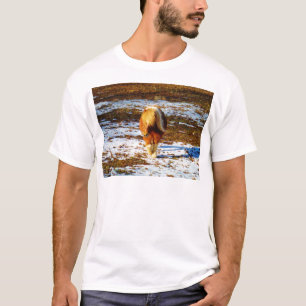 T-shirt Cheval miniature Brown et crème dans la neige.