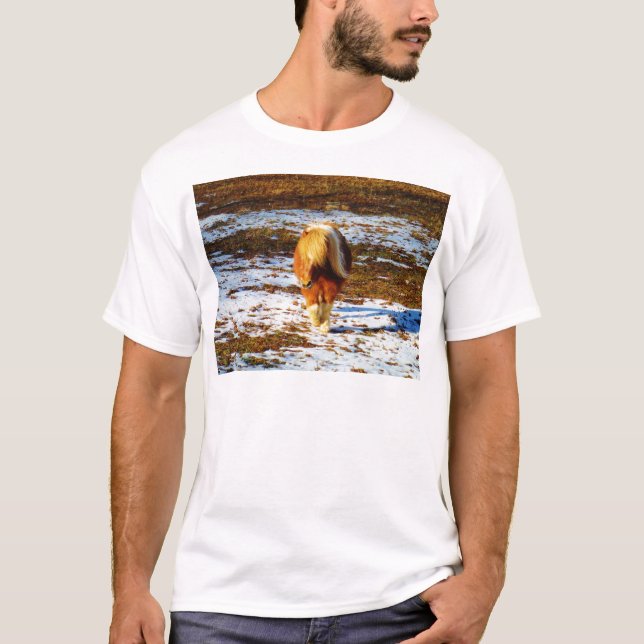 T-shirt Cheval miniature Brown et crème dans la neige. (Devant)
