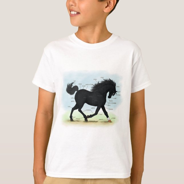 T-shirt Cheval noir avec carte d'anatomie Star & Sock (Devant)