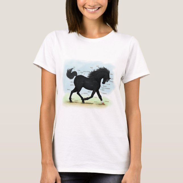 T-shirt Cheval noir avec carte d'anatomie Star & Sock (Devant)