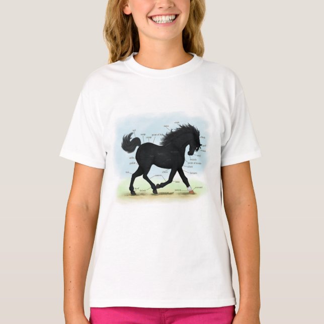 T-shirt Cheval noir avec carte d'anatomie Star & Sock (Devant)