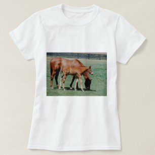 T-SHIRT CHEVAUX AMICAUX