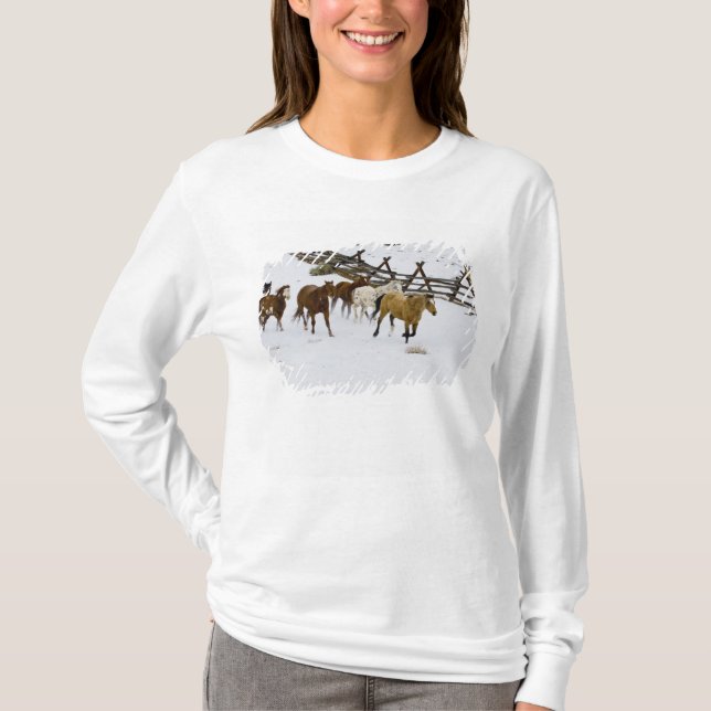 T-shirt Chevaux courant dans la neige (Devant)