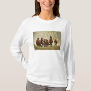 T-shirt Chevaux cresting petite colline pendant la rafle