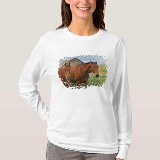 T-shirt Chevaux dans un champ dans la Palouse 3 (Devant)