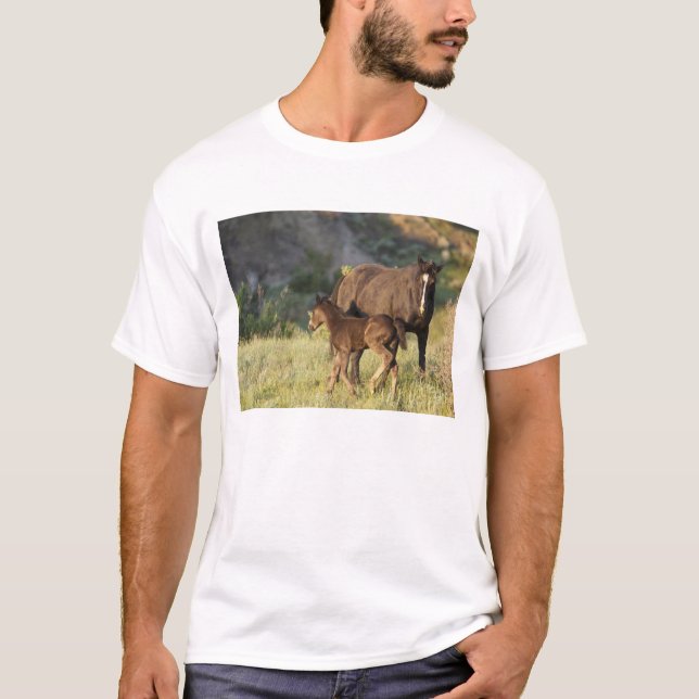 T-shirt Chevaux sauvages dans le parc national Theodore Ro (Devant)