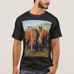 T-shirt Chevaux sauvages Vie Nature Scène