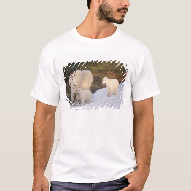 T-shirt chèvre de montagne (Devant)