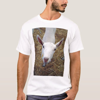 T-shirt "Chèvre-fait face"