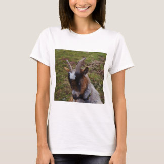 T-shirt Chèvre mignonne