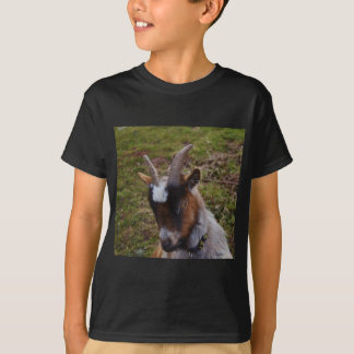 T-shirt Chèvre mignonne