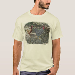 T-shirt chèvrefeuille rose et M. bellows