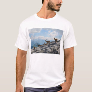 T-shirt Chèvres de montagne sauvages de bouquetin alpin