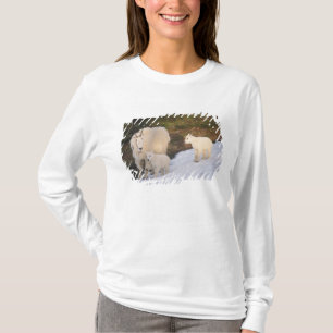 T-shirt chèvres des montagnes