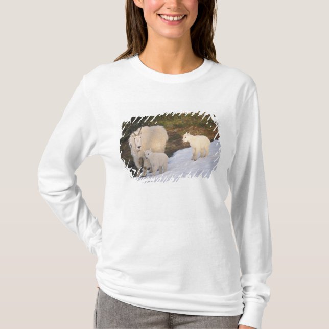 T-shirt chèvres des montagnes (Devant)