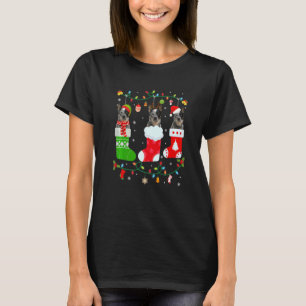 T-shirt Chien de bétail australien Trois chaussettes de No