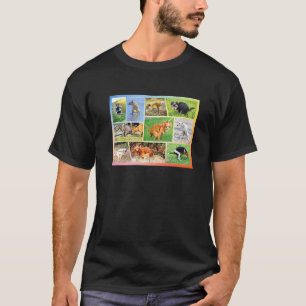T-shirt Chien de Chihuahua, propriétaire d'un animal de co