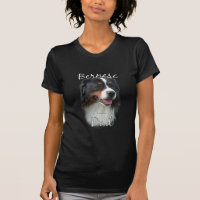 Chien de Montagne Bernese Papa 2