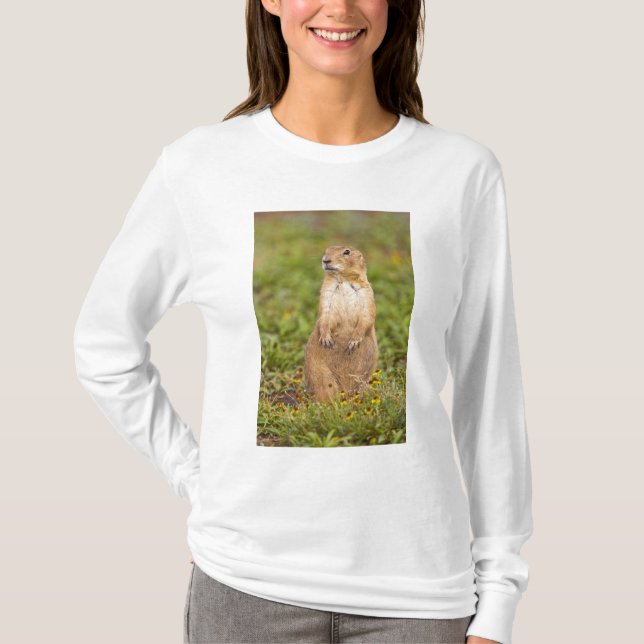T-shirt Chien de prairie à queue noire Cynomys (Devant)