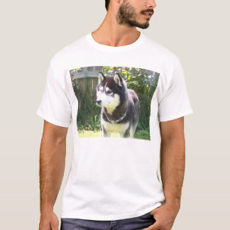 T-shirt Chien de traîneau sibérien