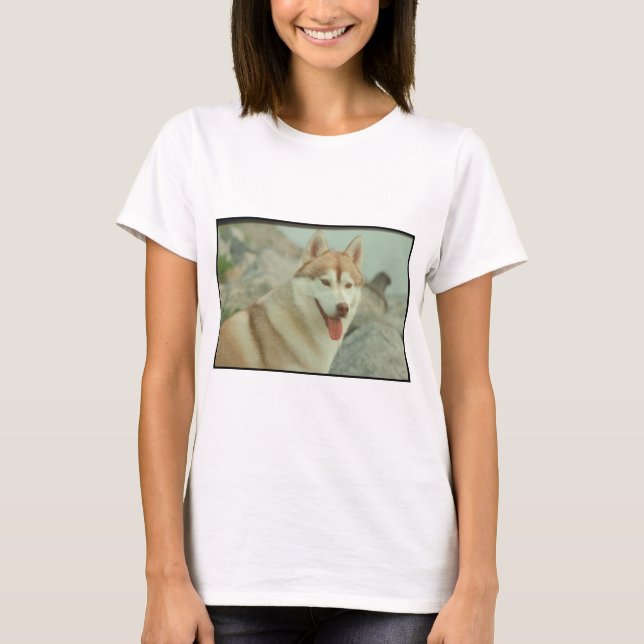 T-shirt Chien de traîneau sibérien rouge (Devant)