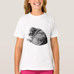 T-shirt Chien d'hiver reposant partage le confort dans un 