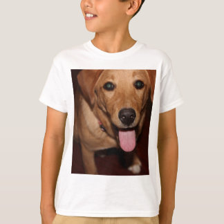 T-shirt Chien d'or rétriever #5