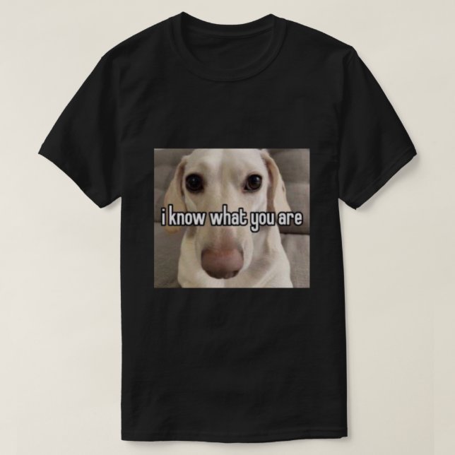 T-shirt chien homophobe je sais ce que vous êtes Photograp (Design devant)