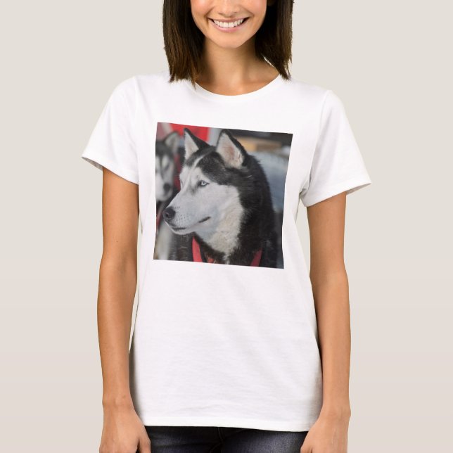 T-shirt Chien husky avant une course, Canada (Devant)