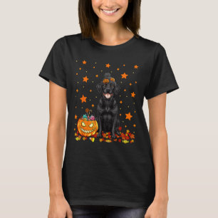 T-shirt Chien Labrador Noir Et Bonbon Citrouille Drôle