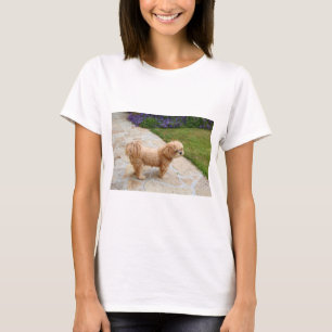 T-shirt Chien Lhasa Apso dans un jardin