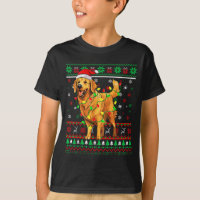 Chien Retriever doré Chapeau de Père Noël de Noël