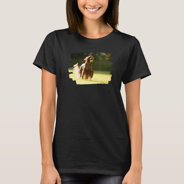 T-shirt Chien rouge irlandais (Devant)