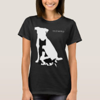 Chiens chats oiseau poisson Services vétérinaires