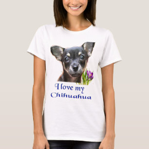 T-shirt chihuahua