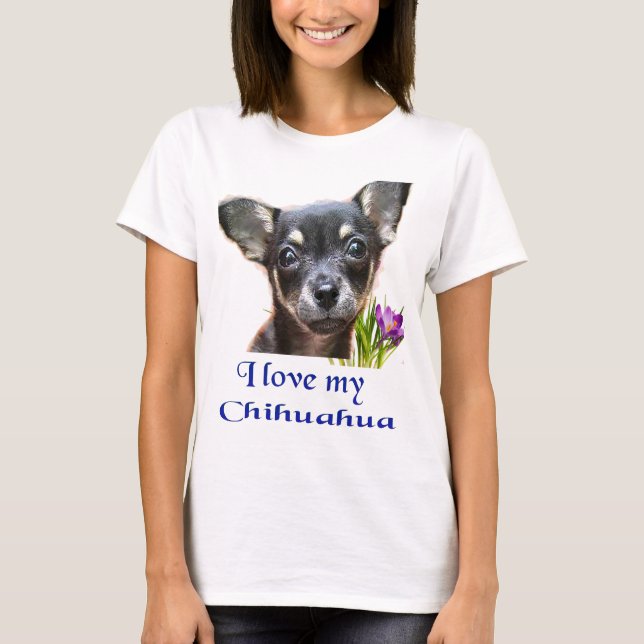 T-shirt chihuahua (Devant)