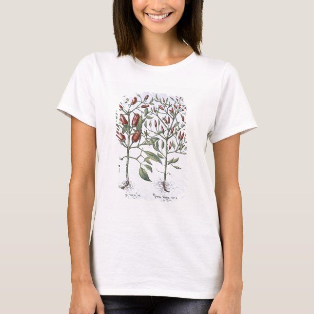 T-shirt Chilli Pepper plants, from the 'Hortus Eystletsi (Devant)