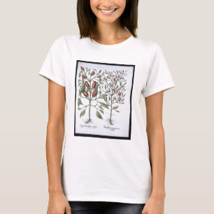 T-shirt Chilli Pepper plants, from the 'Hortus Eystletsi