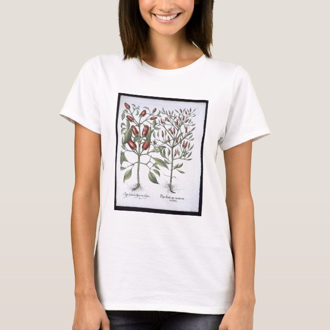 T-shirt Chilli Pepper plants, from the 'Hortus Eystletsi (Devant)