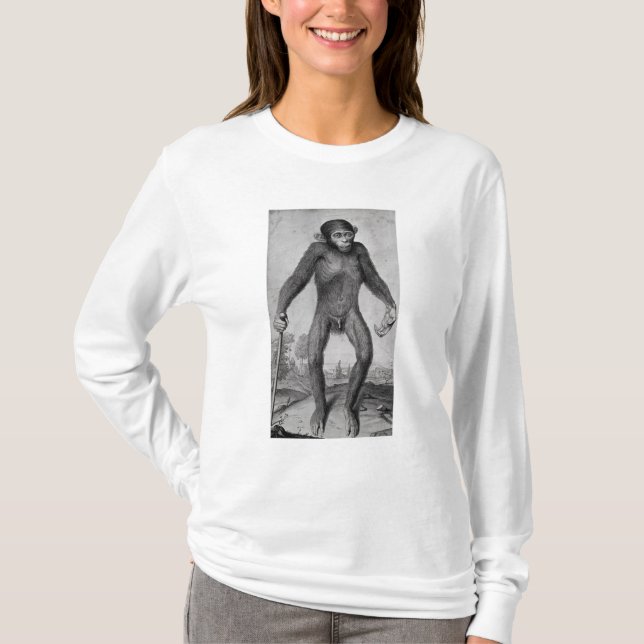 T-shirt Chimpanzé, 1699 (Devant)