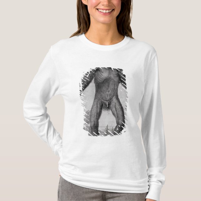 T-shirt Chimpanzé, 1699 (Devant)