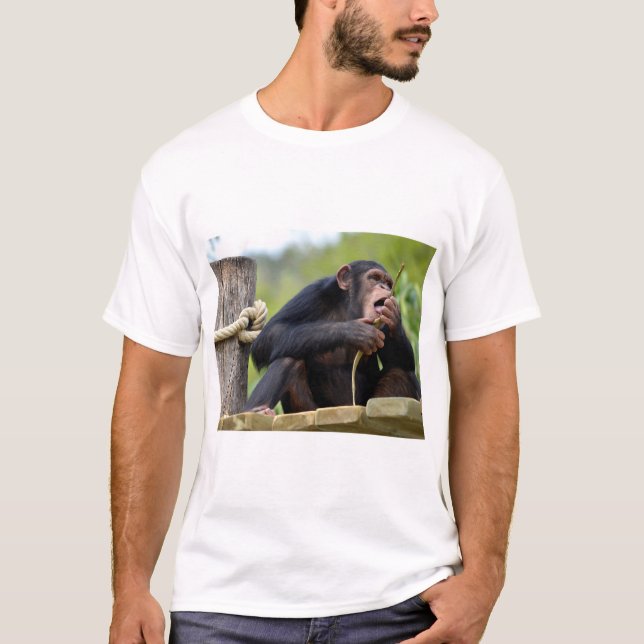 T-shirt Chimpanzé sur la planche et manger un écorce postc (Devant)