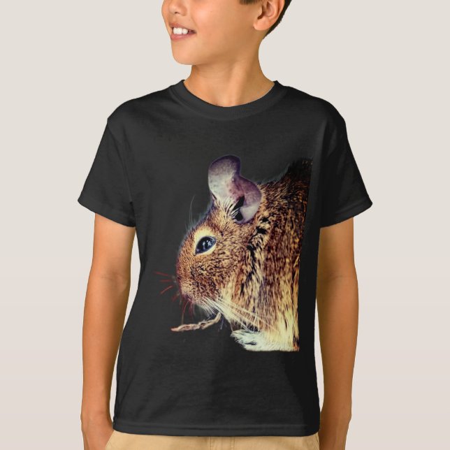 T-shirt Chinchilla (Devant)